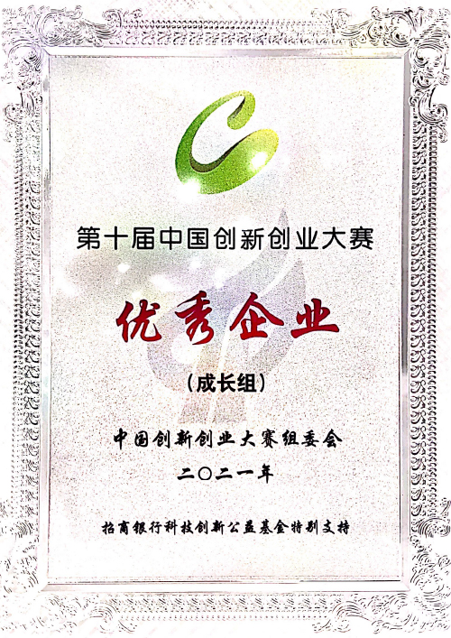 2021 Outstanding Enterprise Award of the 10th China Innovation and Entrepreneurship Competition